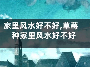 家里风水好不好,草莓种家里风水好不好