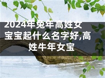 2024年兔年高姓女宝宝起什么名字好,高姓牛年女宝