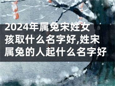 2024年属兔宋姓女孩取什么名字好,姓宋属兔的人起什么名字好