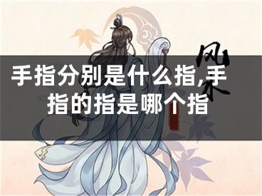 手指分别是什么指,手指的指是哪个指