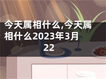 今天属相什么,今天属相什么2023年3月22