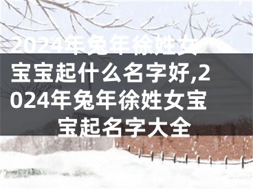 2024年兔年徐姓女宝宝起什么名字好,2024年兔年徐姓女宝宝起名字大全