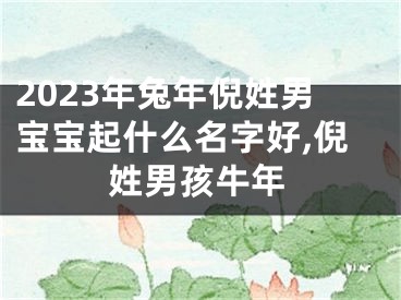 2023年兔年倪姓男宝宝起什么名字好,倪姓男孩牛年