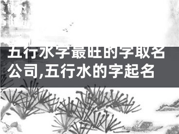五行水字最旺的字取名公司,五行水的字起名