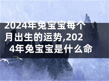 2024年兔宝宝每个月出生的运势,2024年兔宝宝是什么命