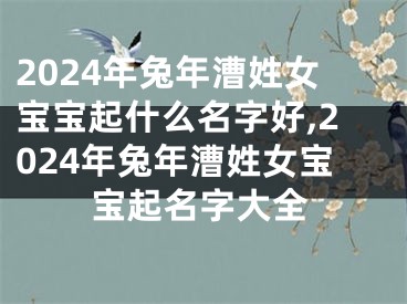 2024年兔年漕姓女宝宝起什么名字好,2024年兔年漕姓女宝宝起名字大全