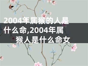 2004年属猴的人是什么命,2004年属猴人是什么命女