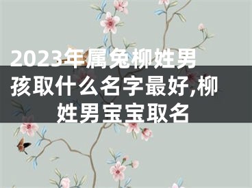 2023年属兔柳姓男孩取什么名字最好,柳姓男宝宝取名
