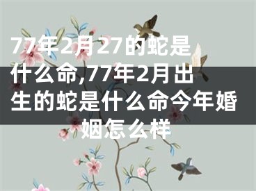 77年2月27的蛇是什么命,77年2月出生的蛇是什么命今年婚姻怎么样
