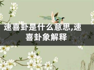 速喜卦是什么意思,速喜卦象解释