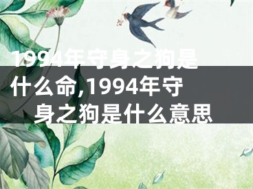1994年守身之狗是什么命,1994年守身之狗是什么意思