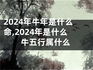 2024年牛年是什么命,2024年是什么牛五行属什么
