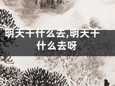 明天干什么去,明天干什么去呀