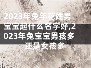 2023年兔年花姓男宝宝起什么名字好,2023年兔宝宝男孩多还是女孩多