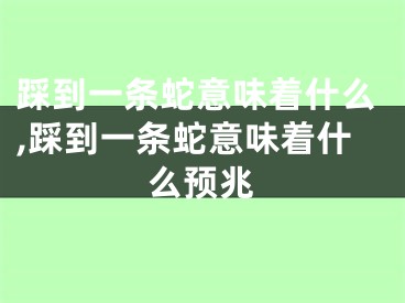 踩到一条蛇意味着什么,踩到一条蛇意味着什么预兆