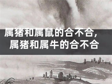 属猪和属鼠的合不合,属猪和属牛的合不合