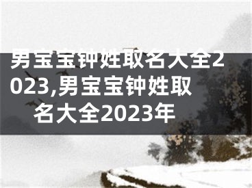 男宝宝钟姓取名大全2023,男宝宝钟姓取名大全2023年