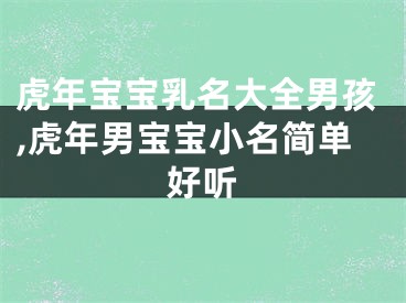 虎年宝宝乳名大全男孩,虎年男宝宝小名简单好听