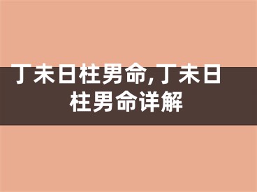 丁未日柱男命,丁未日柱男命详解