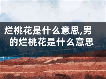 烂桃花是什么意思,男的烂桃花是什么意思