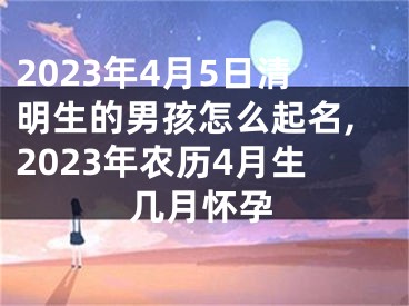 2023年4月5日清明生的男孩怎么起名,2023年农历4月生几月怀孕