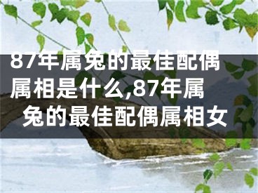 87年属兔的最佳配偶属相是什么,87年属兔的最佳配偶属相女