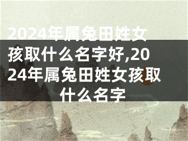 2024年属兔田姓女孩取什么名字好,2024年属兔田姓女孩取什么名字