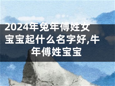 2024年兔年傅姓女宝宝起什么名字好,牛年傅姓宝宝