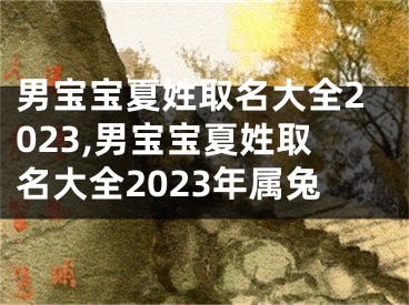 男宝宝夏姓取名大全2023,男宝宝夏姓取名大全2023年属兔
