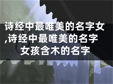 诗经中最唯美的名字女,诗经中最唯美的名字女孩含木的名字