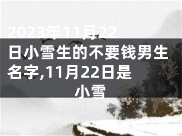 2023年11月22日小雪生的不要钱男生名字,11月22日是小雪
