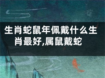 生肖蛇鼠年佩戴什么生肖最好,属鼠戴蛇