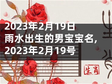 2023年2月19日雨水出生的男宝宝名,2023年2月19号