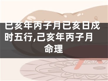 巳亥年丙子月已亥日戍时五行,己亥年丙子月命理