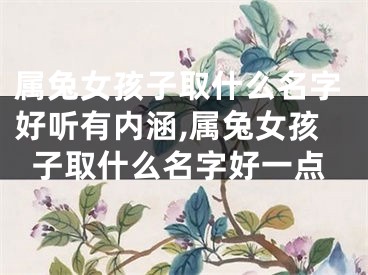 属兔女孩子取什么名字好听有内涵,属兔女孩子取什么名字好一点