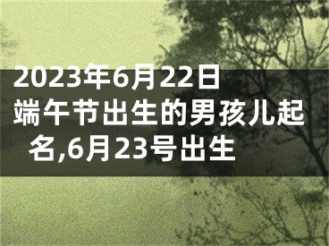 2023年6月22日端午节出生的男孩儿起名,6月23号出生