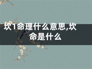 坎1命理什么意思,坎命是什么