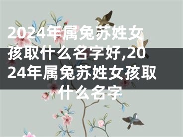 2024年属兔苏姓女孩取什么名字好,2024年属兔苏姓女孩取什么名字