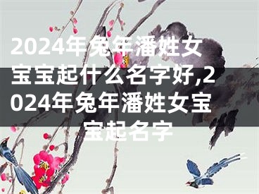 2024年兔年潘姓女宝宝起什么名字好,2024年兔年潘姓女宝宝起名字