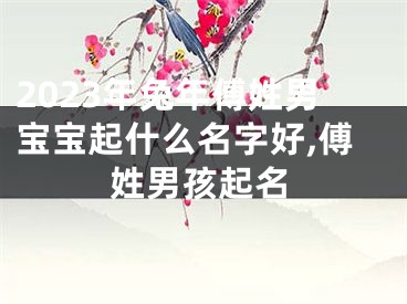 2023年兔年傅姓男宝宝起什么名字好,傅姓男孩起名
