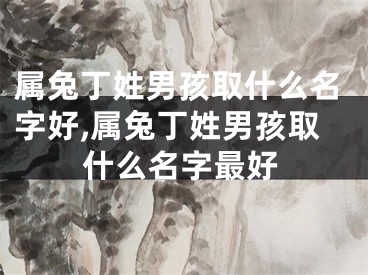 属兔丁姓男孩取什么名字好,属兔丁姓男孩取什么名字最好