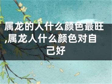 属龙的人什么颜色最旺,属龙人什么颜色对自己好