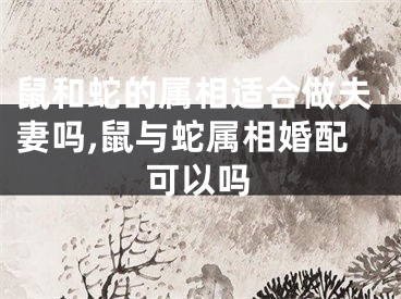 鼠和蛇的属相适合做夫妻吗,鼠与蛇属相婚配可以吗