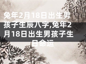 兔年2月18日出生男孩子生辰八字,兔年2月18日出生男孩子生日命运