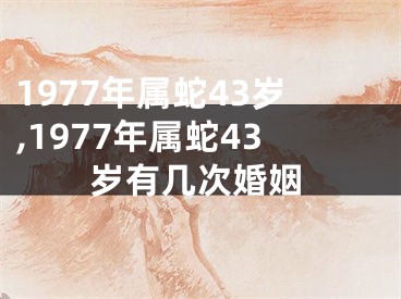1977年属蛇43岁,1977年属蛇43岁有几次婚姻