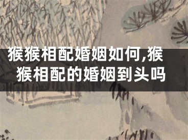 猴猴相配婚姻如何,猴猴相配的婚姻到头吗