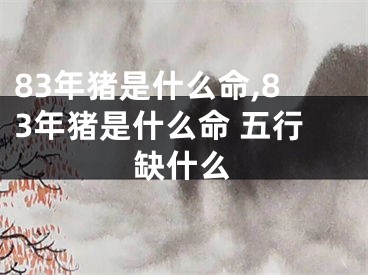 83年猪是什么命,83年猪是什么命 五行缺什么