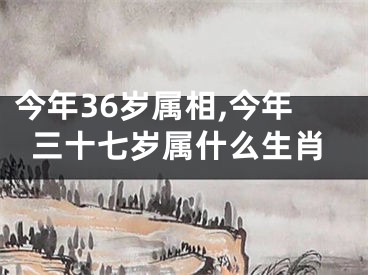 今年36岁属相,今年三十七岁属什么生肖