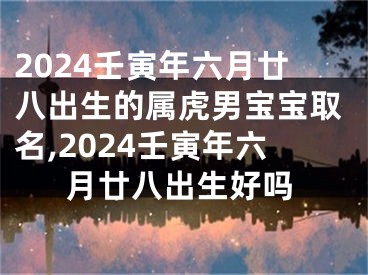 2024壬寅年六月廿八出生的属虎男宝宝取名,2024壬寅年六月廿八出生好吗