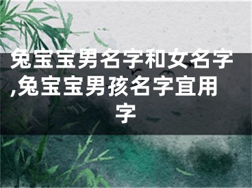 兔宝宝男名字和女名字,兔宝宝男孩名字宜用字